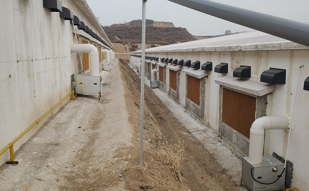 山西朔州养鸡场燃气取暖系统案例