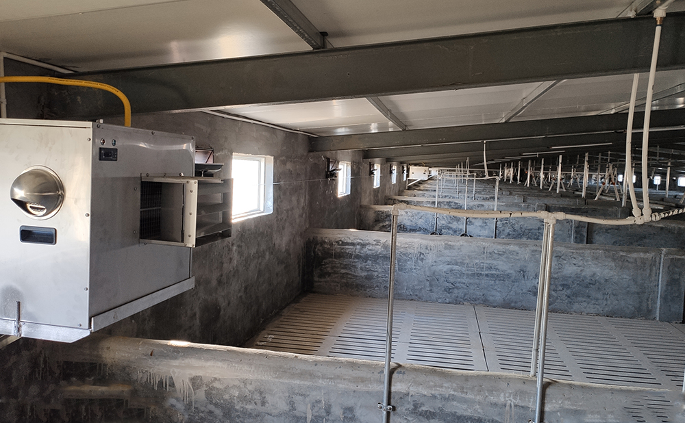 山东德州养猪场燃气取暖系统案例