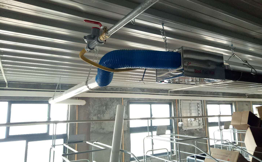 安徽埇桥温氏猪场燃气辐射案例