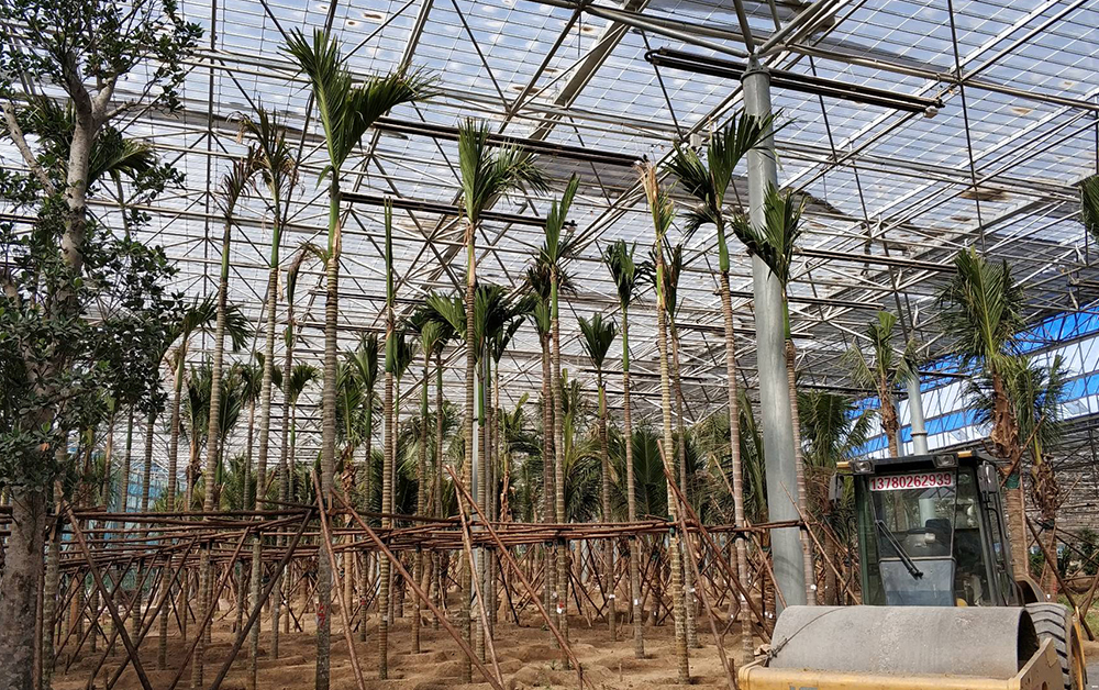 北方热带植物园燃气辐射采暖系统