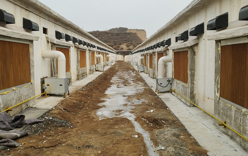 养鸡场燃气暖风机